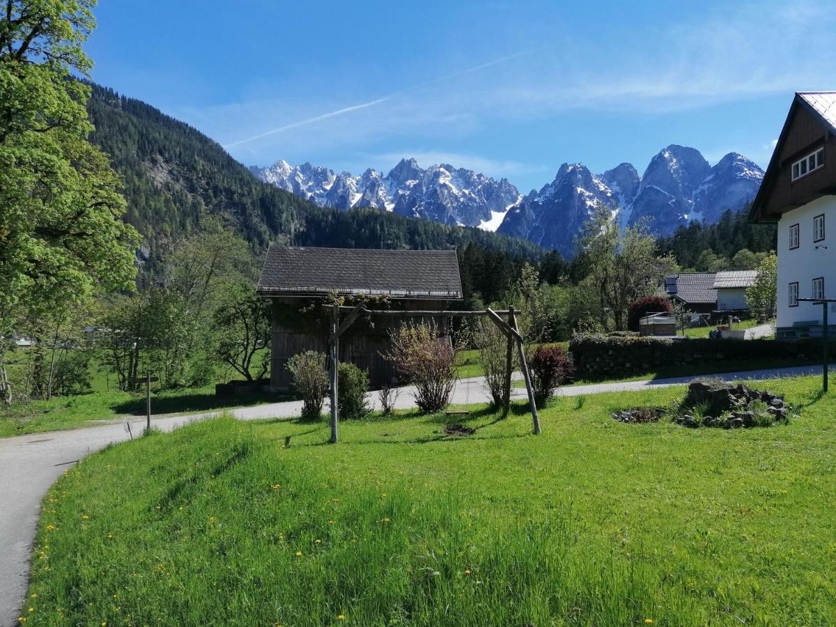 Ferienwohnungen Asterbach Gosau Exterior foto