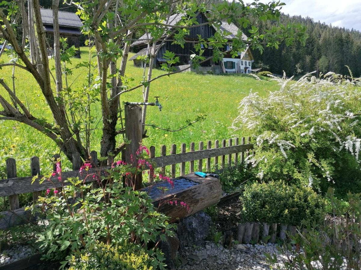 Ferienwohnungen Asterbach Gosau Exterior foto